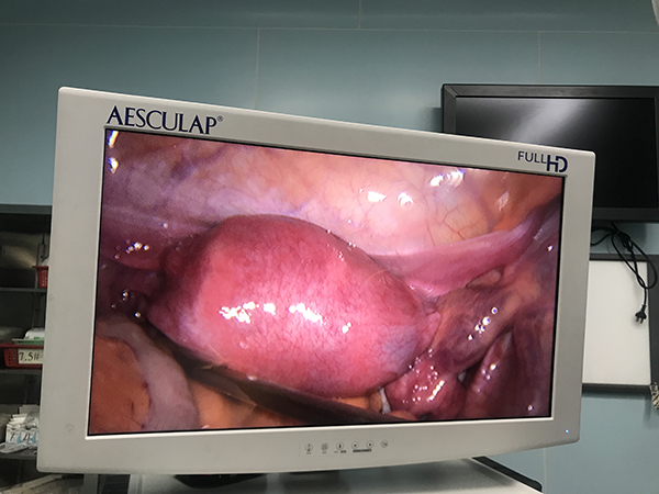 微信(xin)圖片_20200602175220.jpg 微信(xin)圖片_20200602175220.jpg