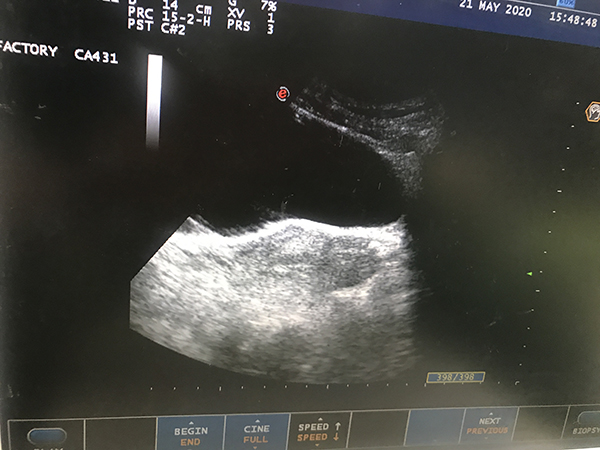 微信(xin)圖片_20200602175222.jpg 微信(xin)圖片_20200602175222.jpg