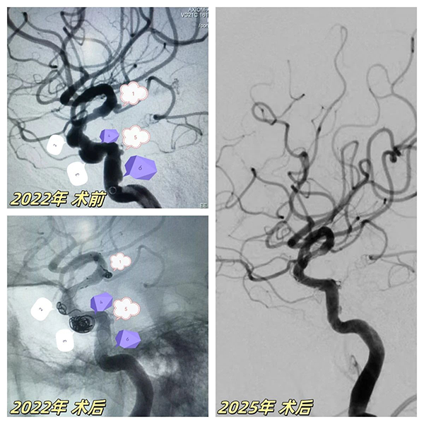 微信(xin)圖片_20250308141334.jpg 微信(xin)圖片_20250308141334.jpg
