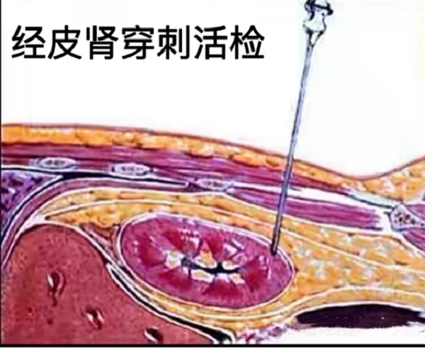 微信(xin)圖片_20220608082717.jpg 微信(xin)圖片_20220608082717.jpg