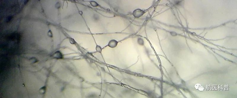 微信(xin)圖片_20191122103312.jpg 微信(xin)圖片_20191122103312.jpg