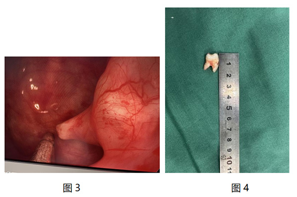 DM_20251230100504_003.jpg DM_20251230100504_003.jpg